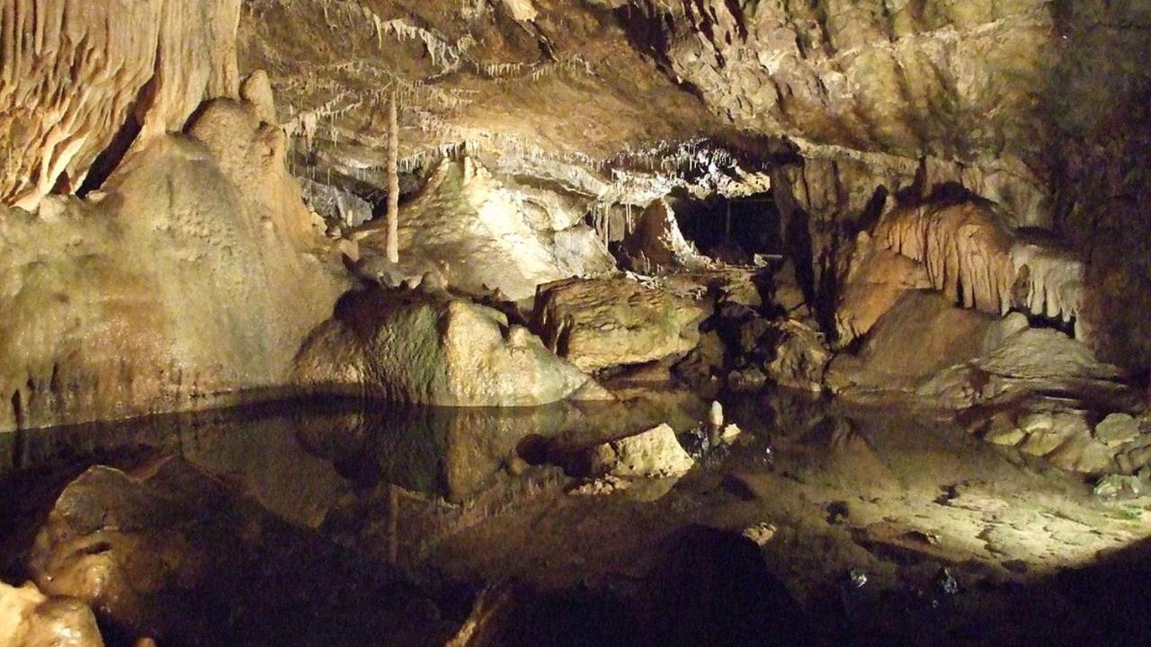 Aux Trois Petits Cochons Daire Hotton Dış mekan fotoğraf