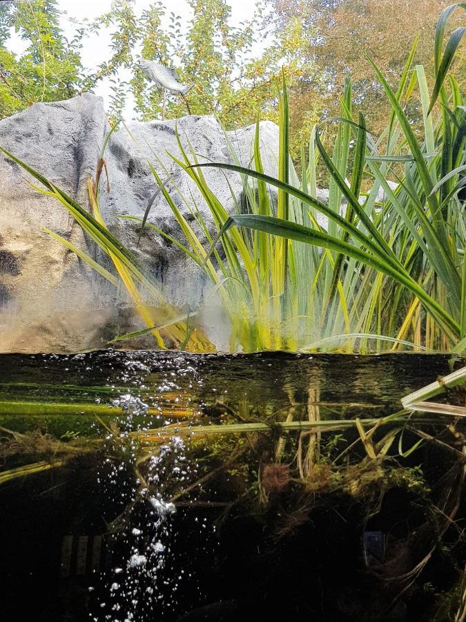 Aux Trois Petits Cochons Daire Hotton Dış mekan fotoğraf
